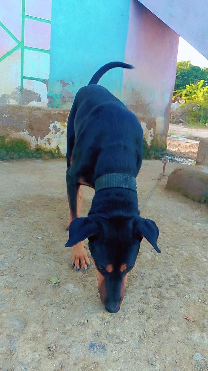 થંબનેલ 3