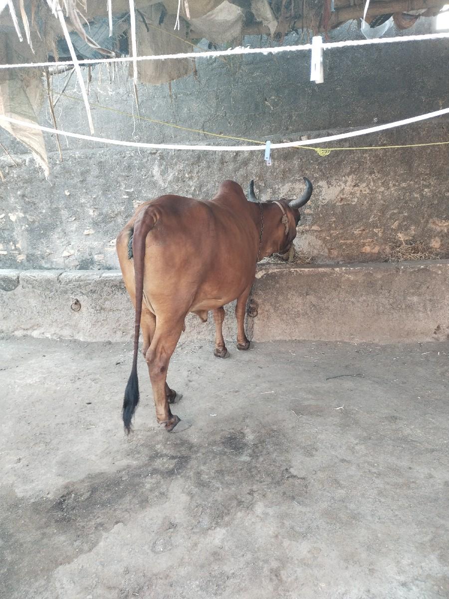 થંબનેલ 3