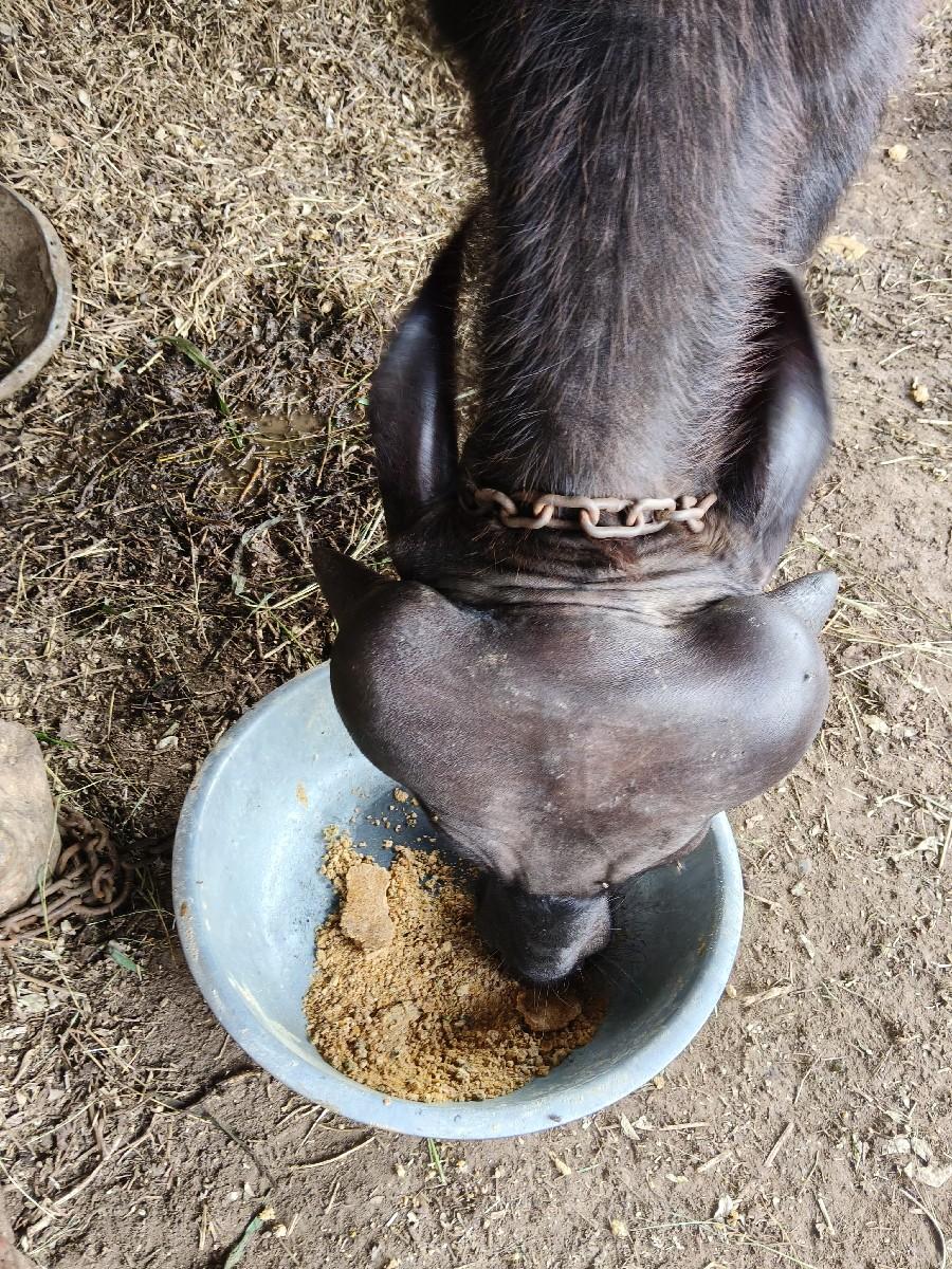 થંબનેલ 4