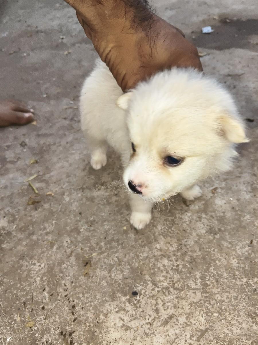 થંબનેલ 2