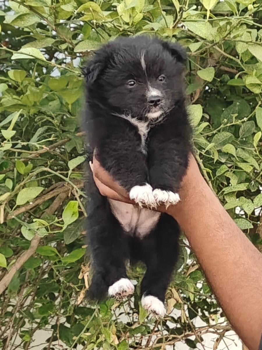 થંબનેલ 2