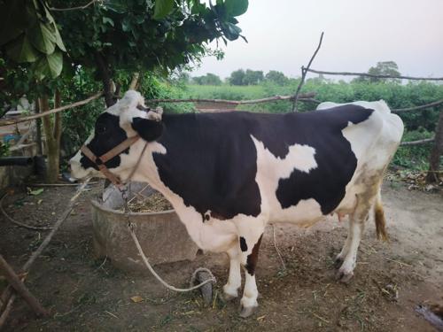 થંબનેલ 3