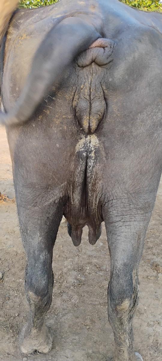 થંબનેલ 3