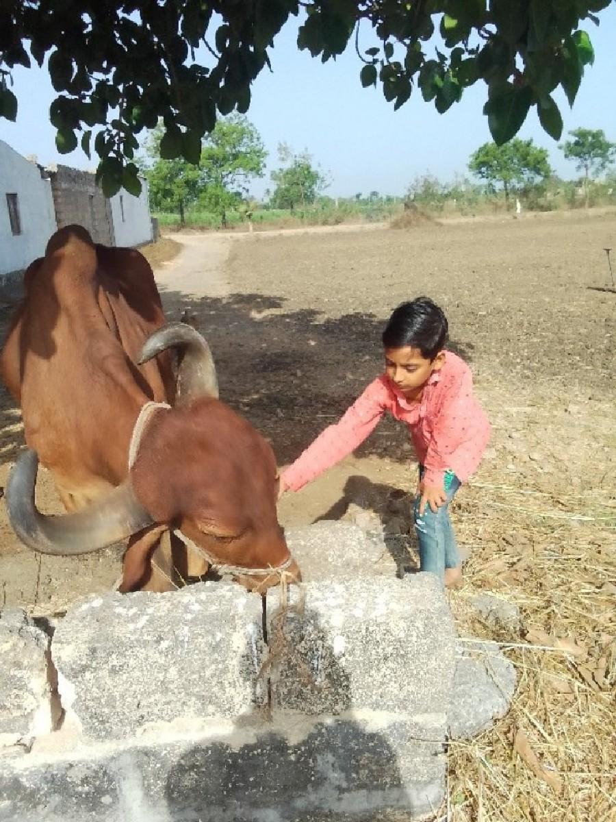 વેચવાનો છે