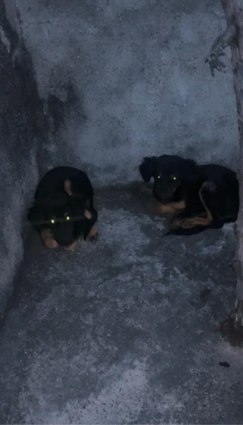 સાટૂ કરવાનૂ છે