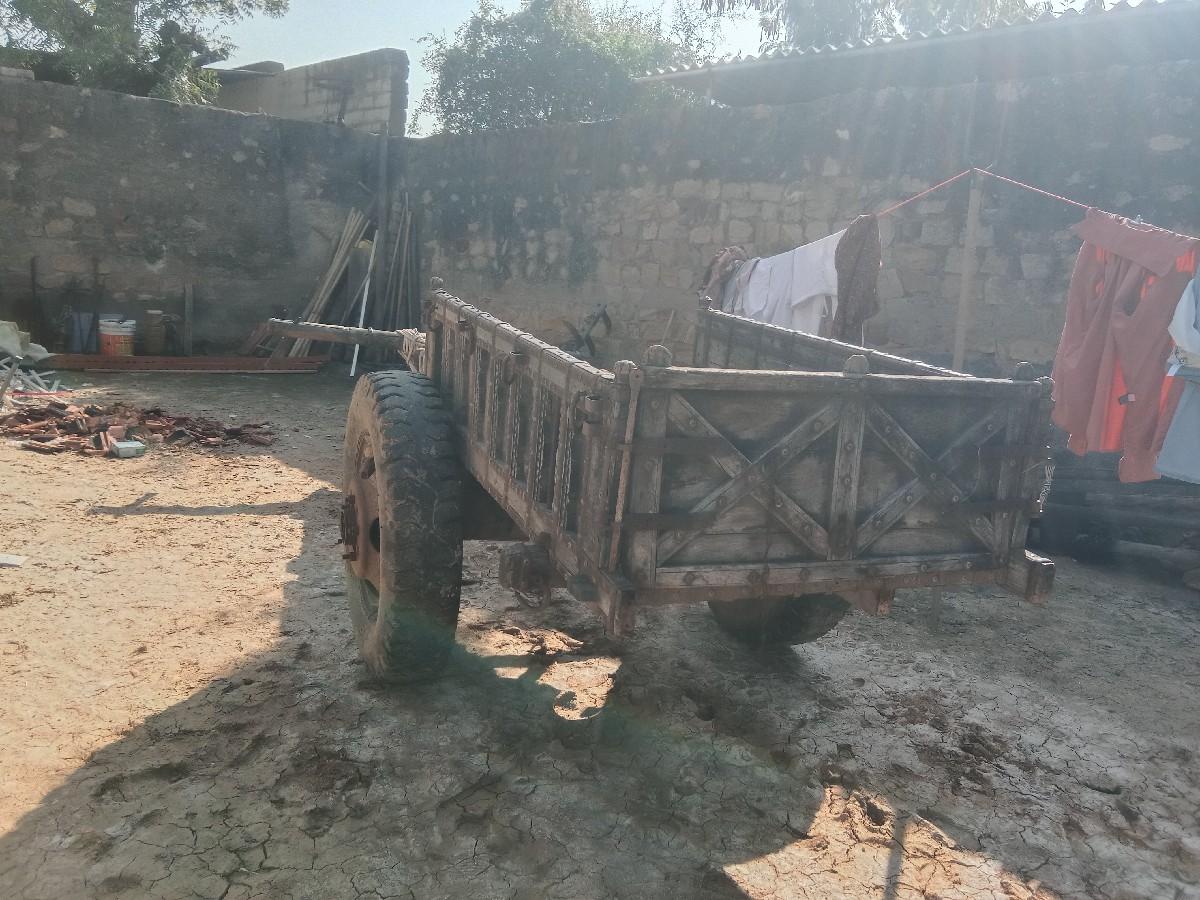 થંબનેલ 3