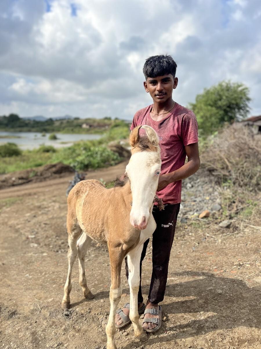 થંબનેલ 2