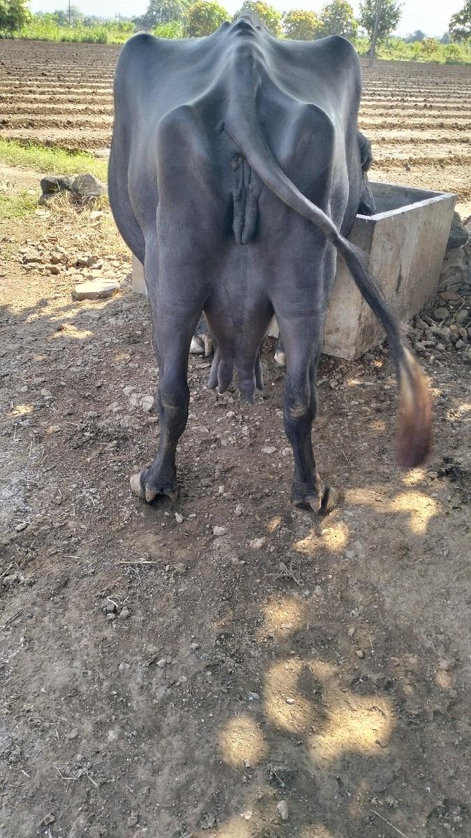 થંબનેલ 2