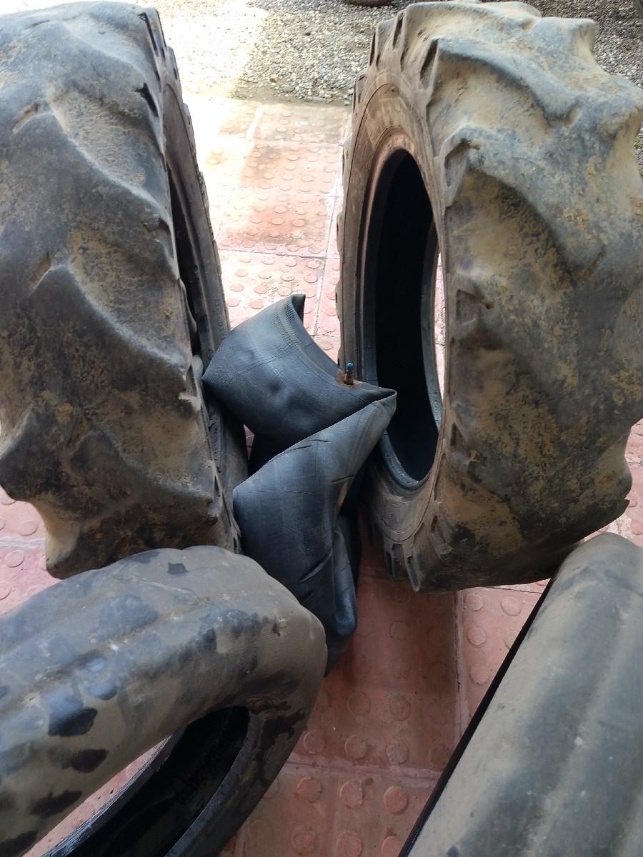 થંબનેલ 2