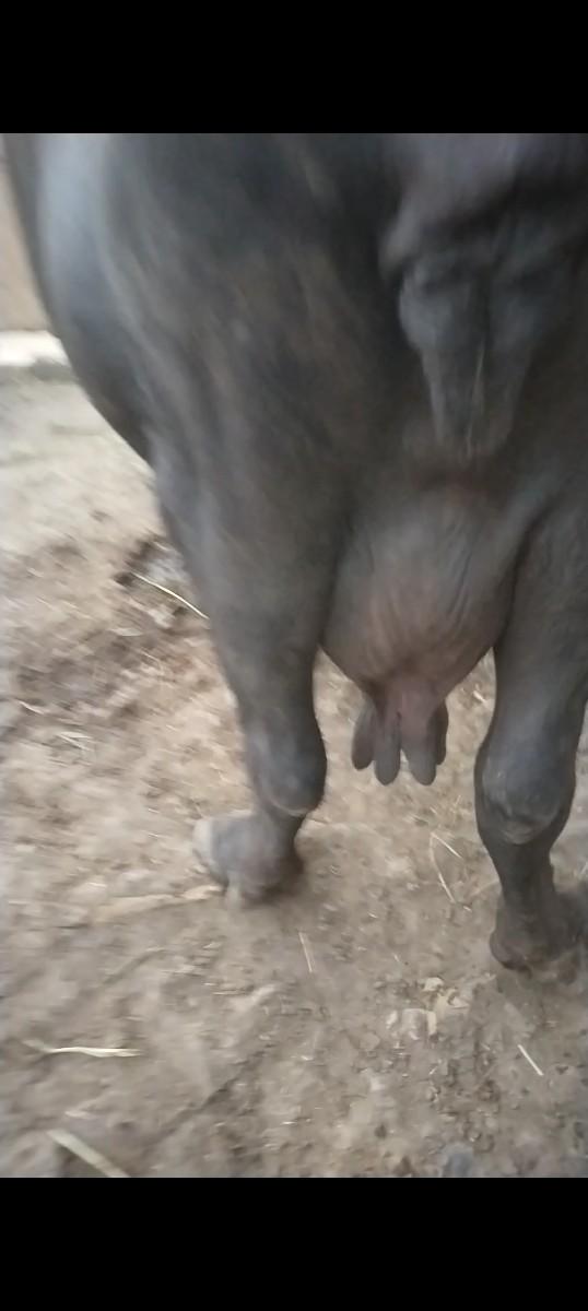 થંબનેલ 3