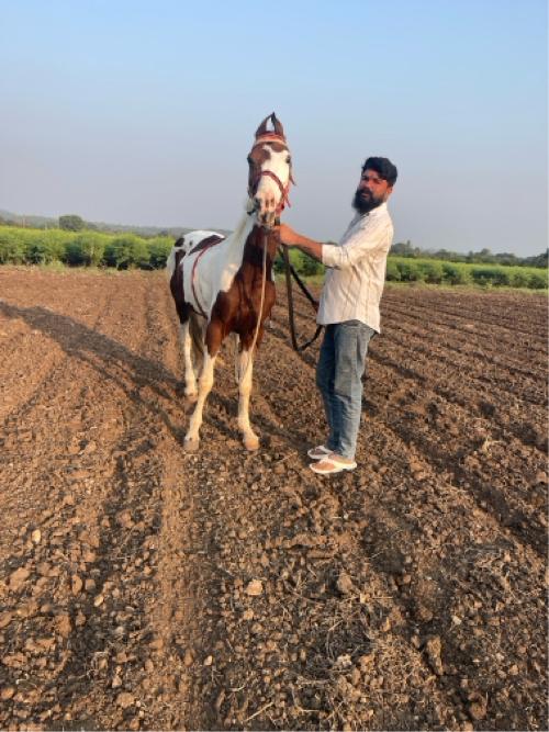 થંબનેલ 3