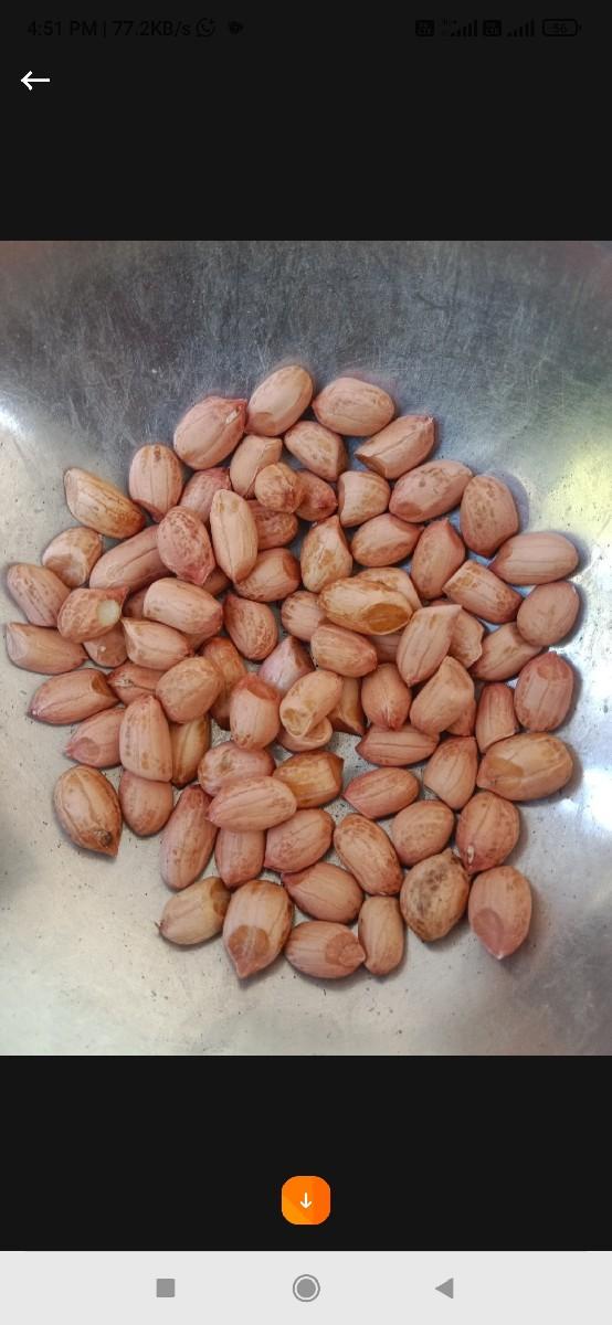 માડવી કોરી