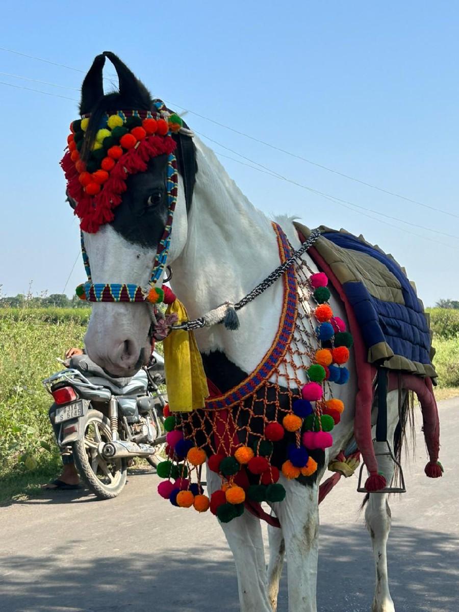 થંબનેલ 2