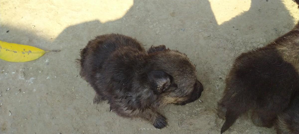 થંબનેલ 3