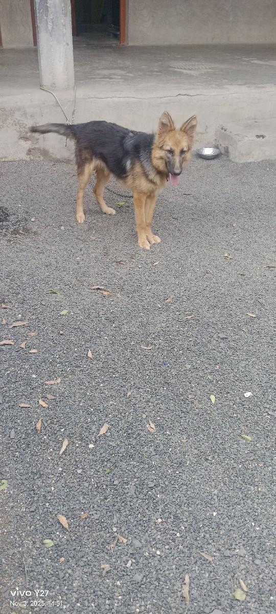 થંબનેલ 2