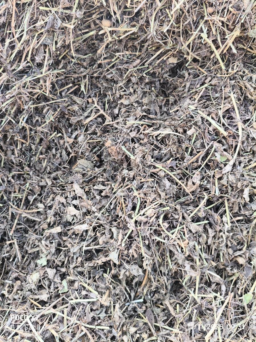 20 vighanu che full val varo