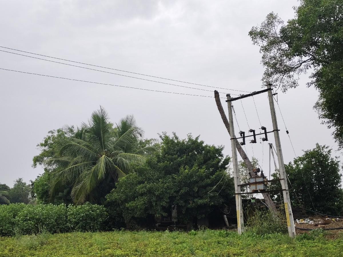 જમીન વેચવાની છે