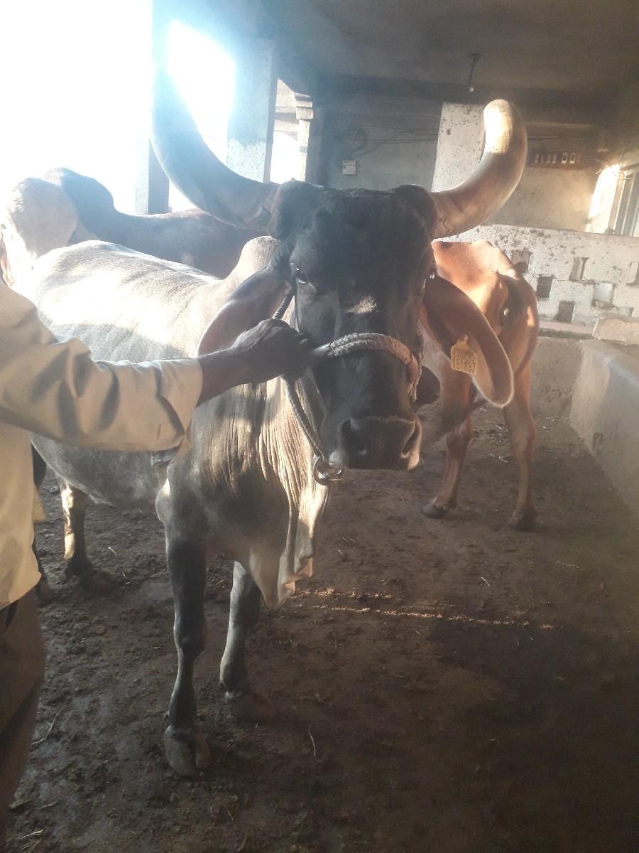 થંબનેલ 3