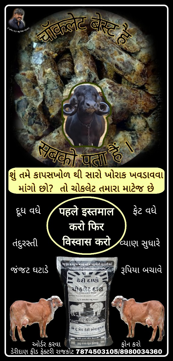 થંબનેલ 5