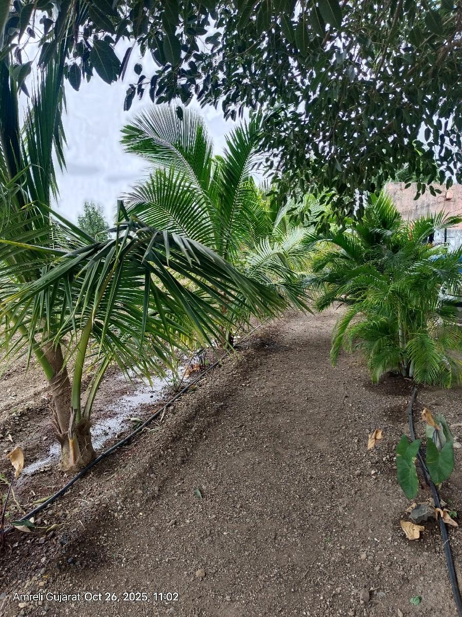 થંબનેલ 3