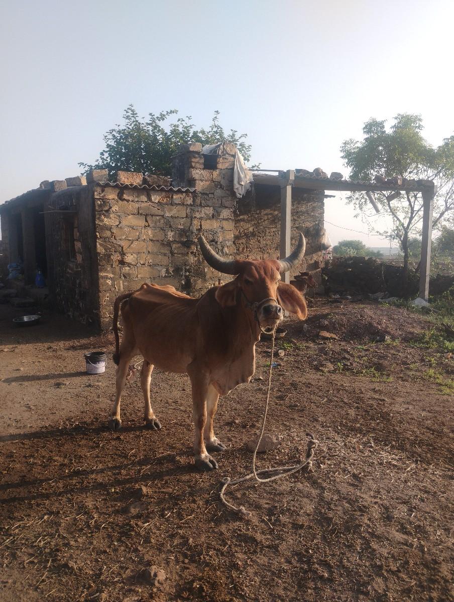 થંબનેલ 3