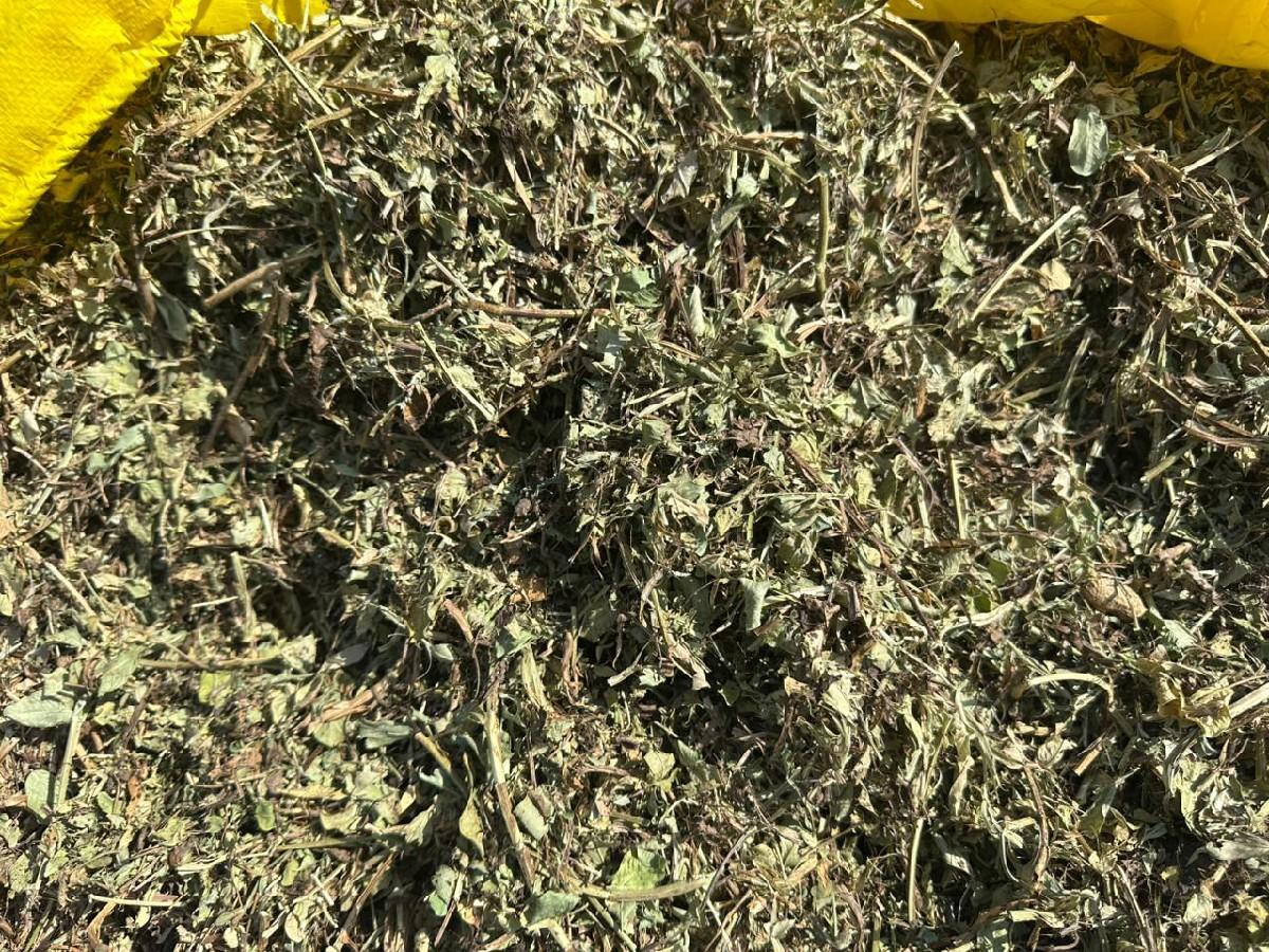 ૨૦ વિઘા નો મગફળી નો ભૂકો