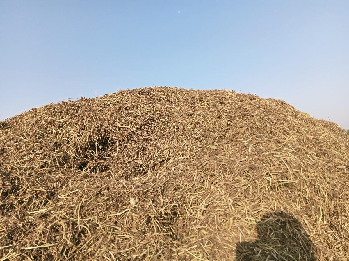 માંડવીયુ વેચવાનું છે