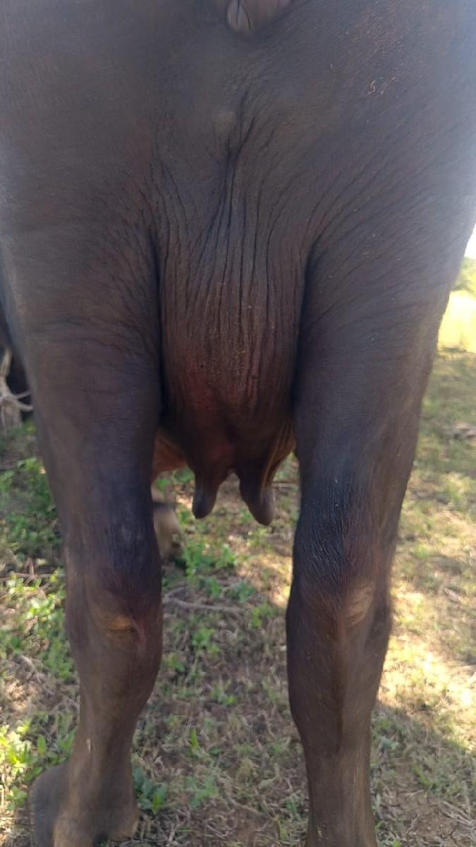 વેચવાની છે