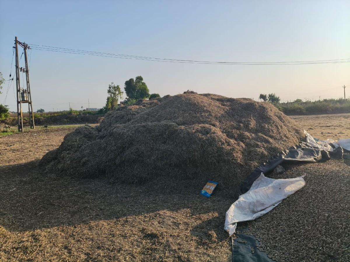 માંડવી નો ભૂકો વેંચવાનો છે