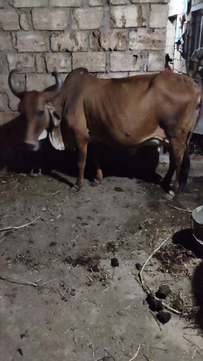 થંબનેલ 3