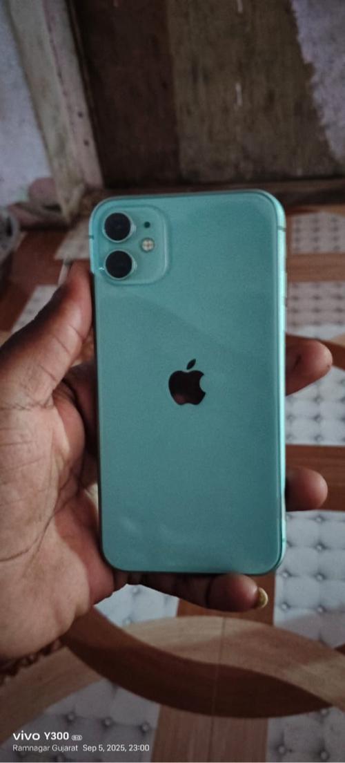 થંબનેલ 2