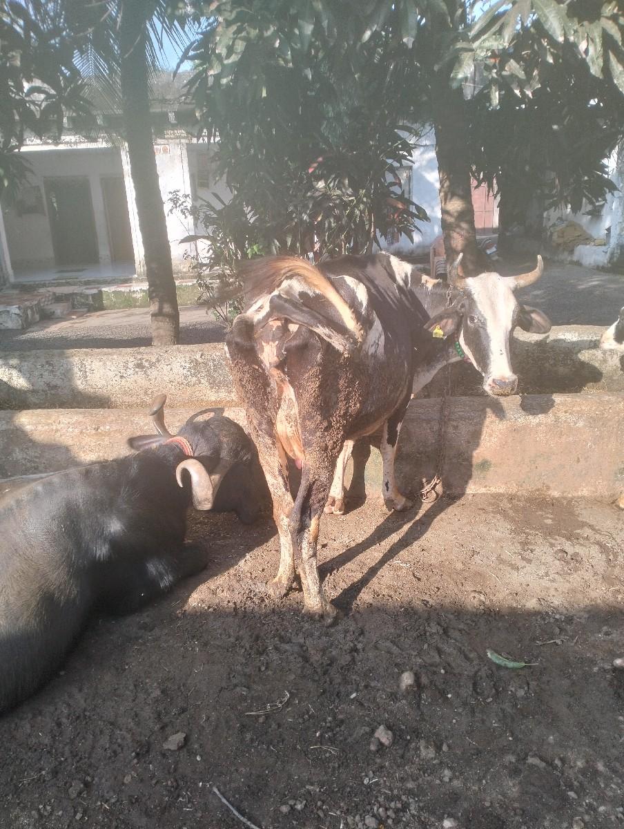 થંબનેલ 2