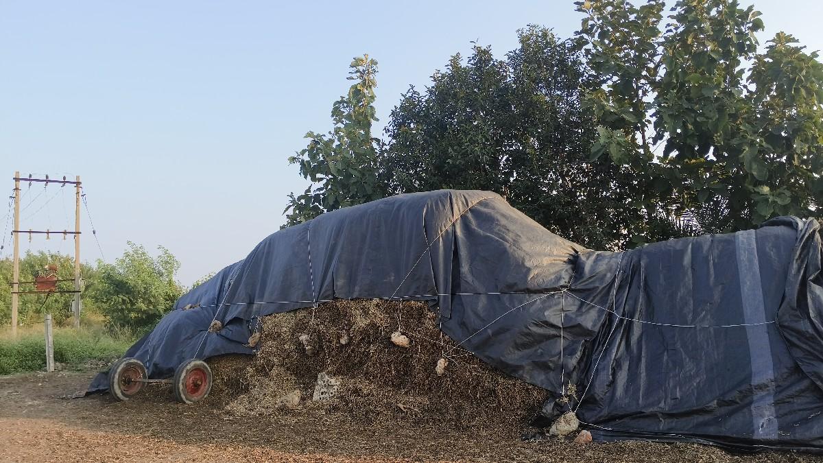 ભૂકો વેચવાનો છે