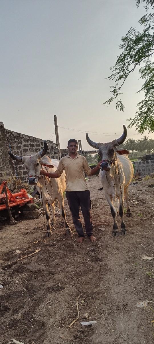 થંબનેલ 3