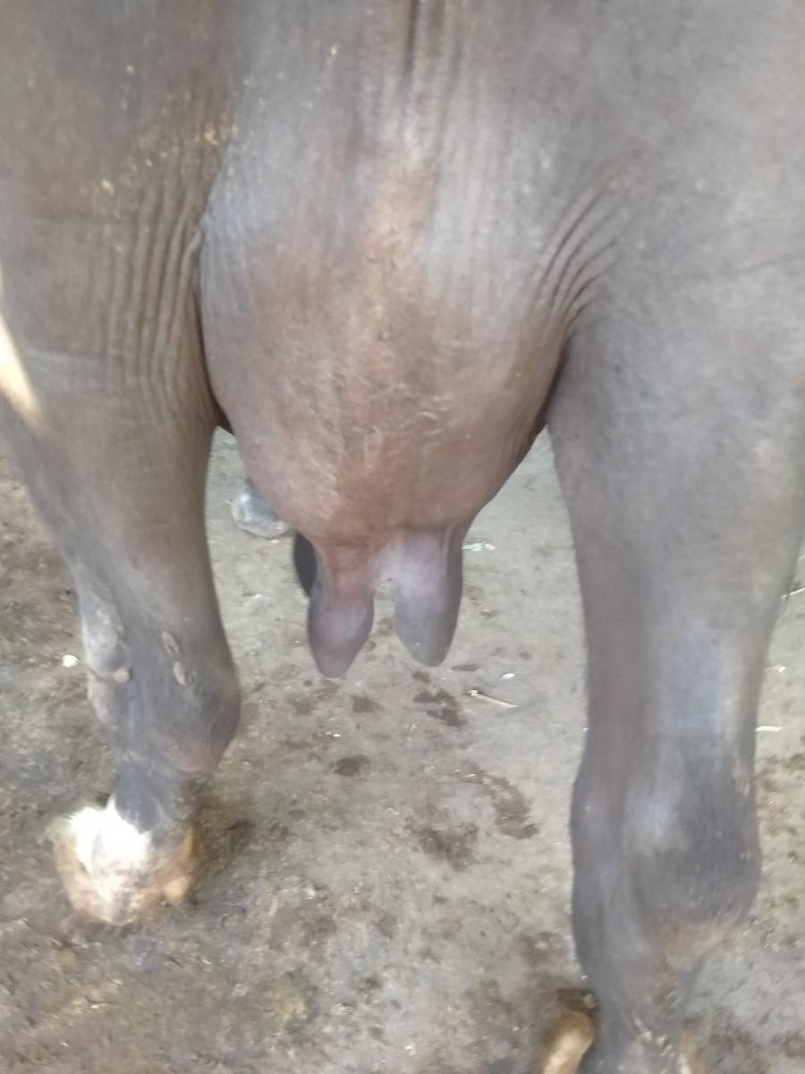 થંબનેલ 2