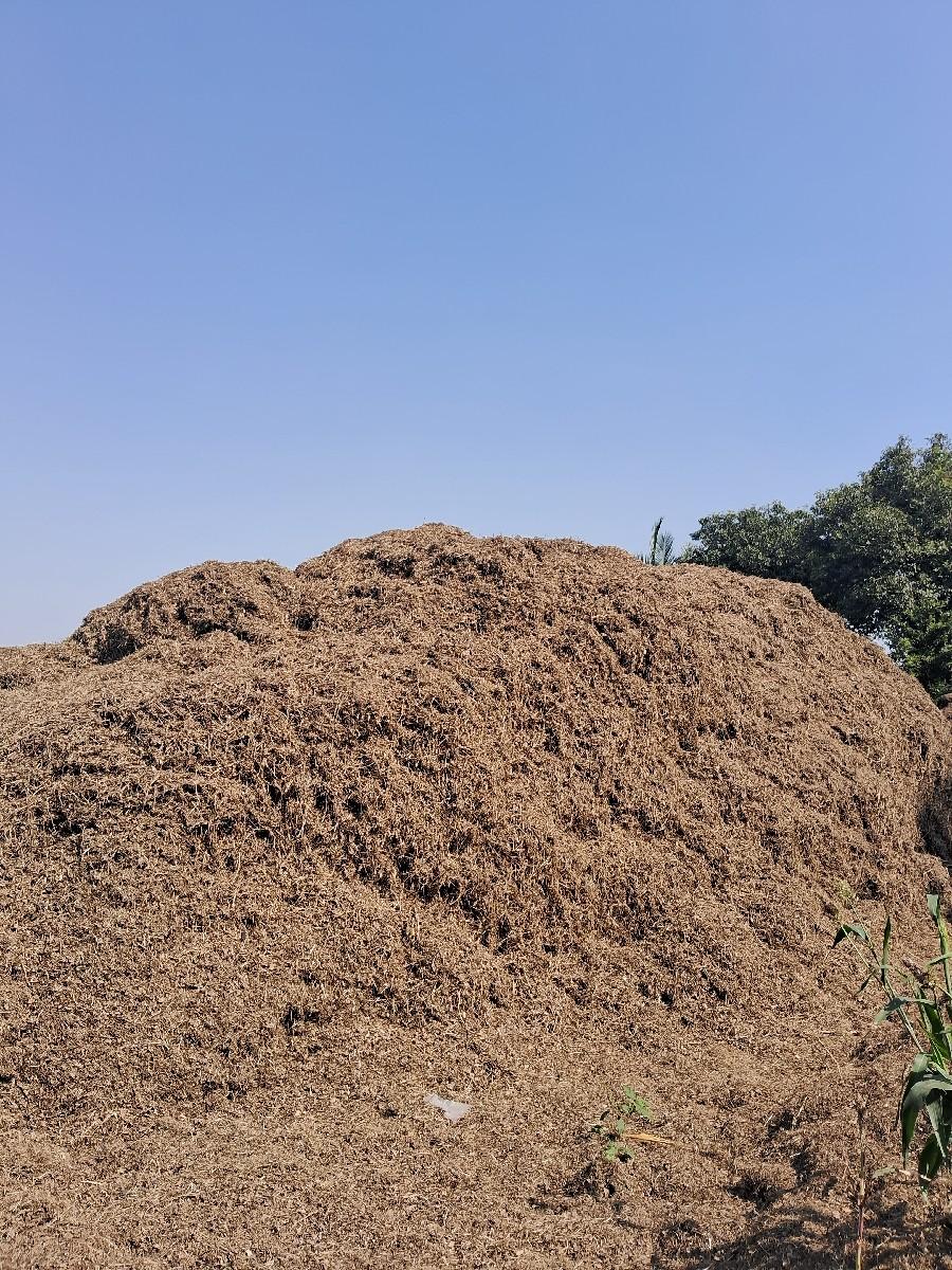 ભુકો વેચવાનો છે