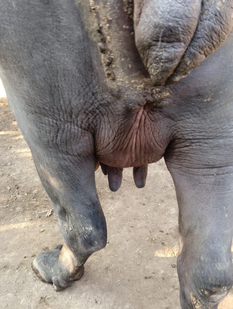 થંબનેલ 3