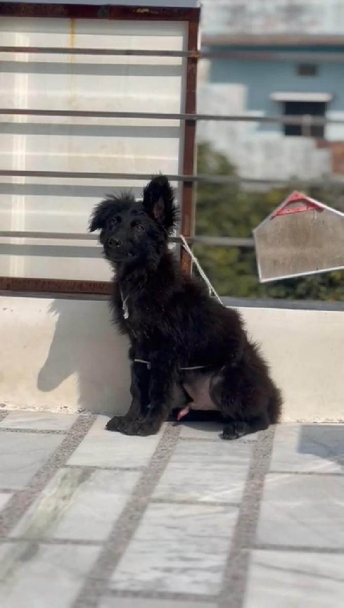 થંબનેલ 2