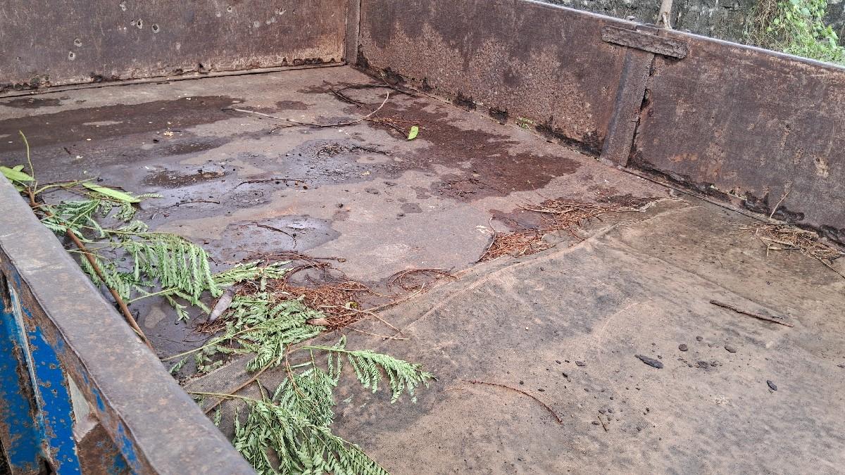 થંબનેલ 6