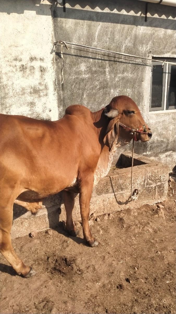 થંબનેલ 3