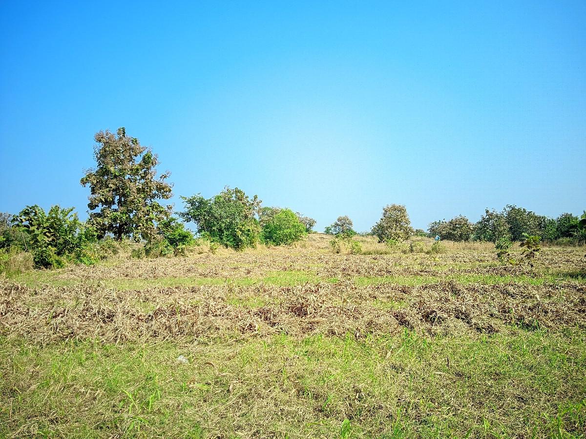 થંબનેલ 3