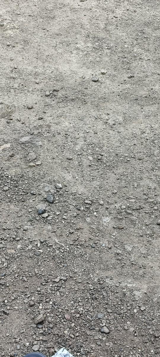 ભૂકો વેશવાનો છે