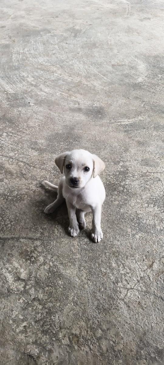 थंबनेल 3