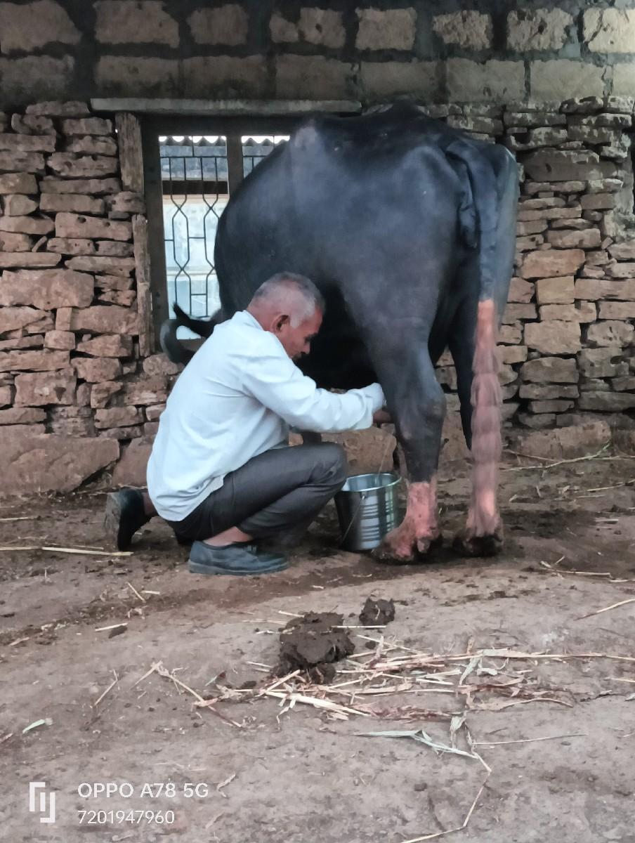 થંબનેલ 4