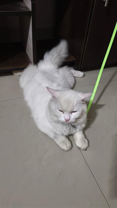 થંબનેલ 3