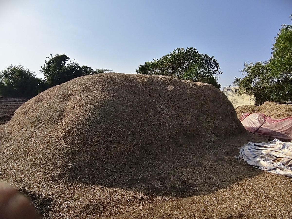 g.20 magfali no bhuko vechvano