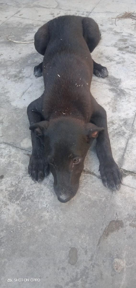 થંબનેલ 2