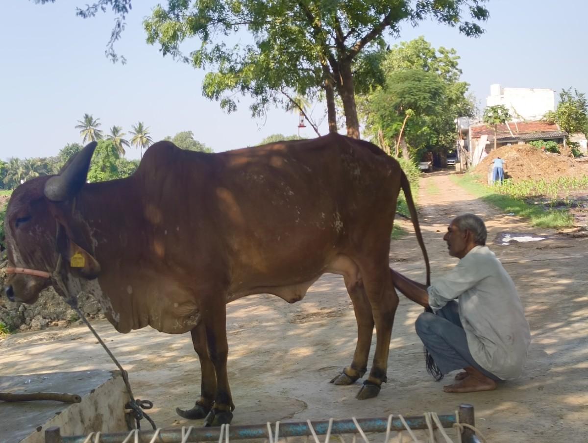 થંબનેલ 3