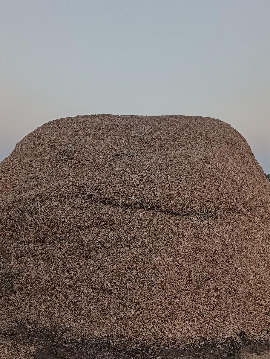 જી ૨૦ નો કોરો ભૂકો વેચવાનો છે.