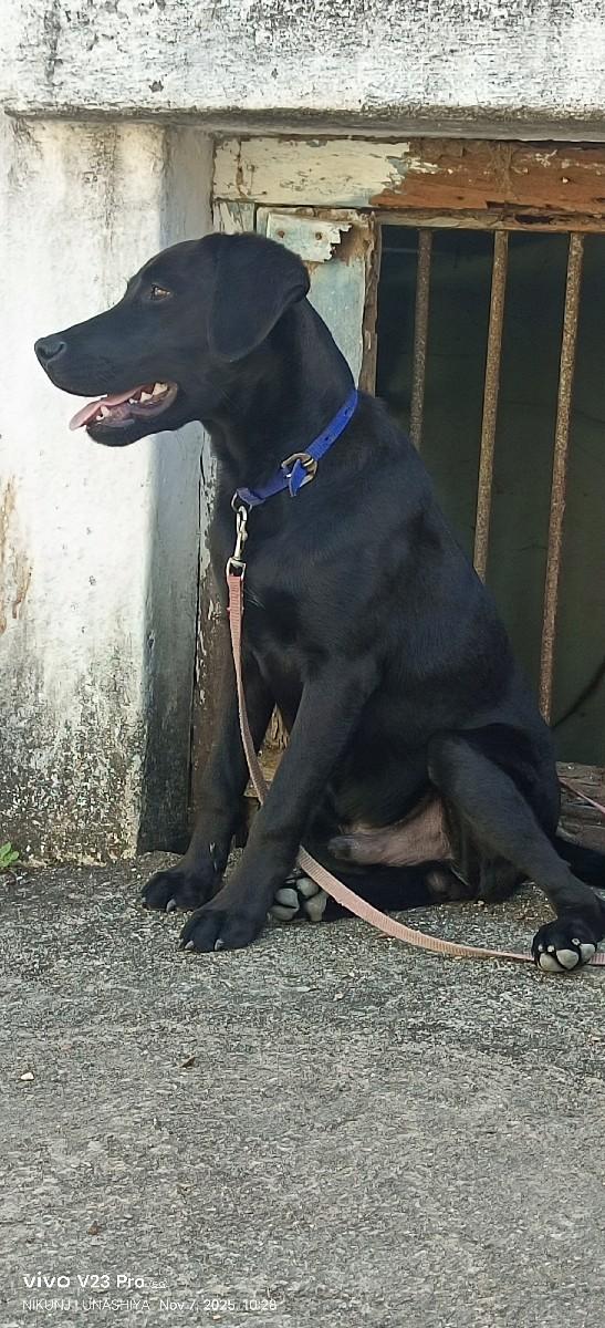 થંબનેલ 3